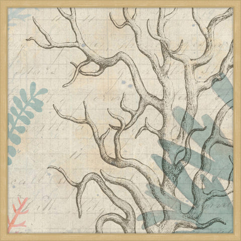 Sea Ephemera II