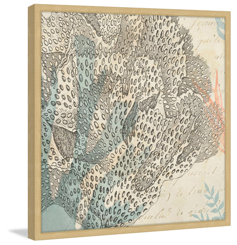 Sea Ephemera III