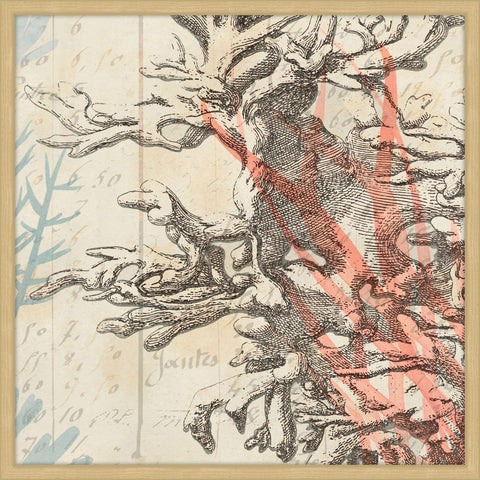 Sea Ephemera IV