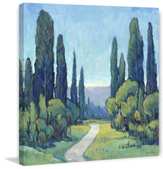 Cypress Path I