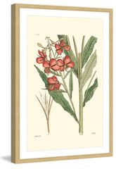 Antique Floral III