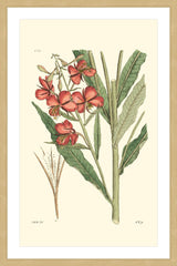 Antique Floral III