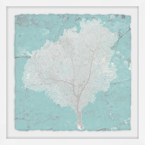 Graphic Sea Fan VII