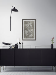 Herbarium Study III