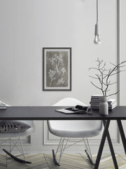 Herbarium Study III