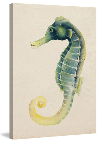 Sea Dweller V