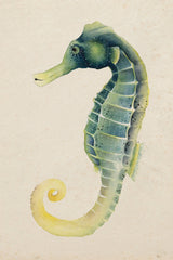 Sea Dweller V