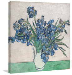 Irises II