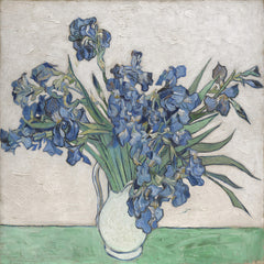 Irises II