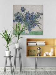 Irises II