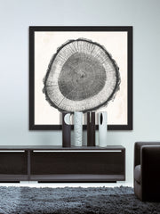 Tree Ring II