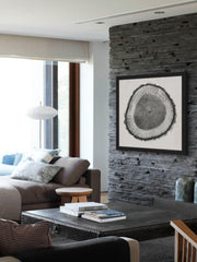 Tree Ring II