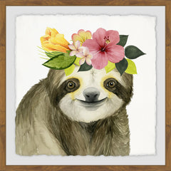 Pretty Sloth