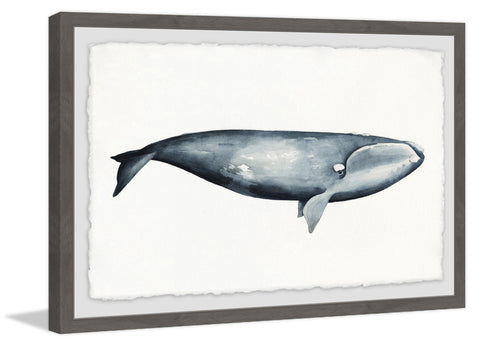 Giant Blue Whale