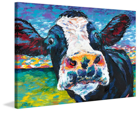 Curious Cow II