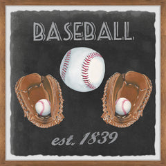 Baseball Collection