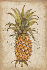 Pineapple Study II