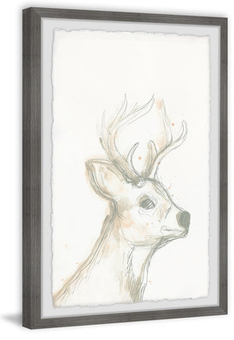 Deer Cameo IV