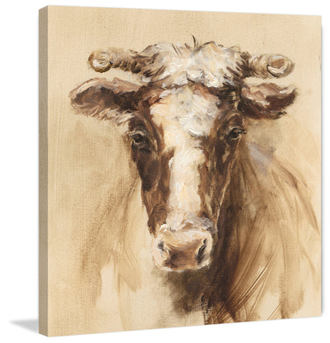 Shaded Cow