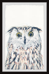 Funky Owl Portrait II