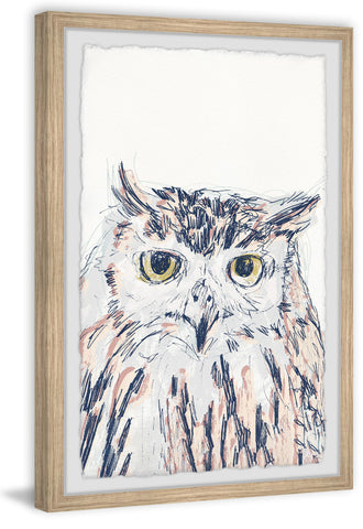 Funky Owl Portrait III