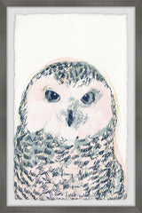 Funky Owl Portrait IV