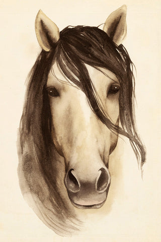 Horse Bangs