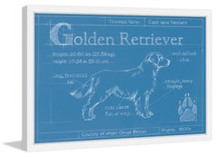 Blueprint Golden Retriever