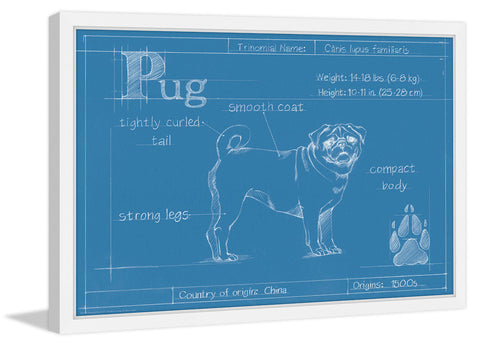 Blueprint Pug