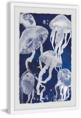Jellyfish II