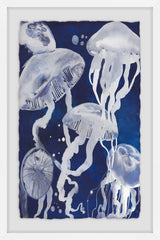 Jellyfish II