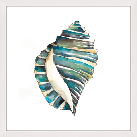 Aquarelle Shells I