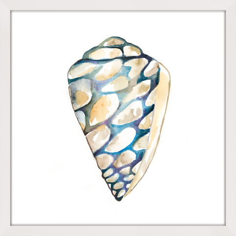 Aquarelle Shells III