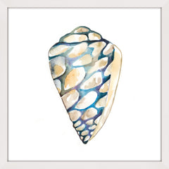 Aquarelle Shells III