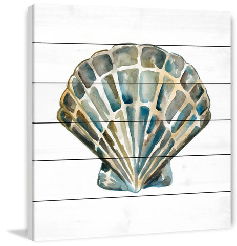 Aquarelle Shells IV
