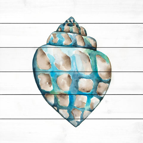 Aquarelle Shells V