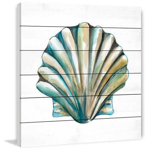 Aquarelle Shells VI