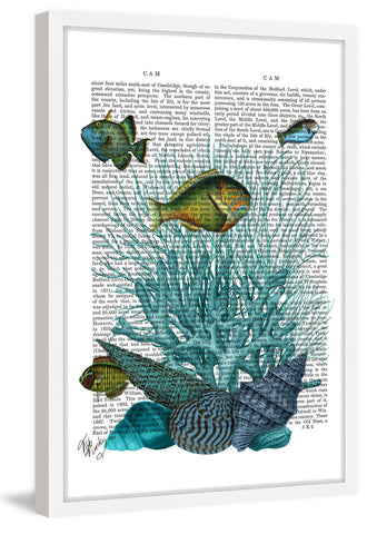 Blue Coral Fish