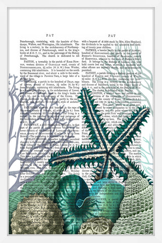 Starfish Under the Sea