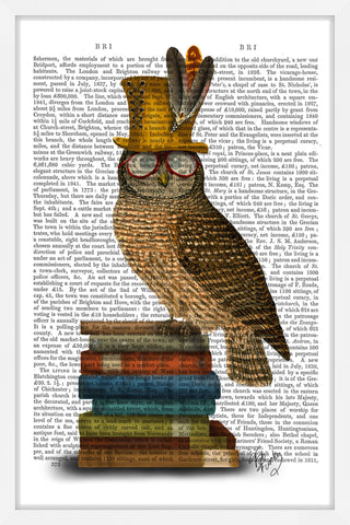 Owl on Books