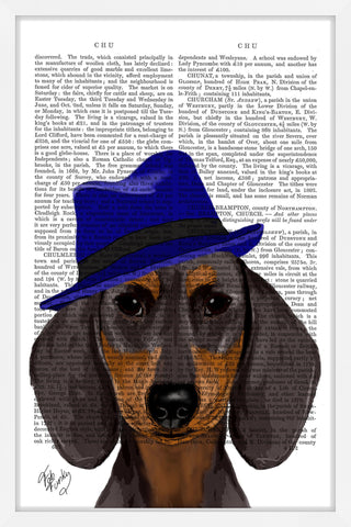 Dachshund with Blue Trilby