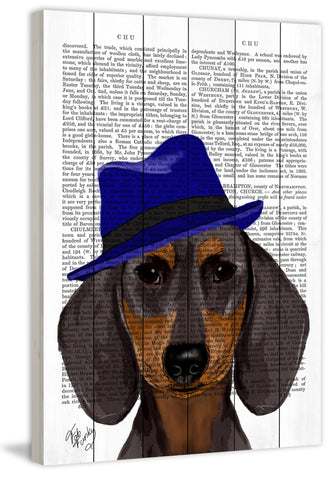 Dachshund with Blue Trilby