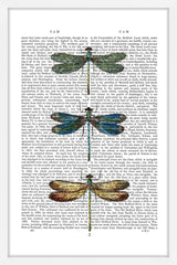 Dragonflies Print 1