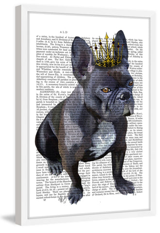 French Bulldog King