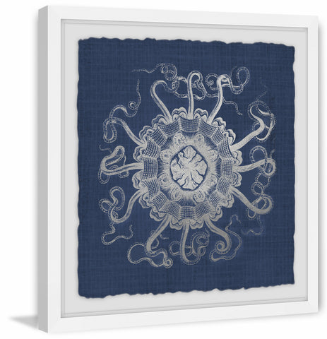 Sea Anemone on Indigo V