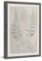 Vintage Fern Study IX