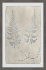 Vintage Fern Study IX