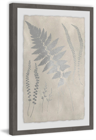Vintage Fern Study X