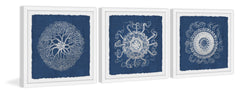Sea Anemone on Indigo Triptych