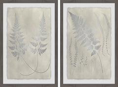 Vintage Fern Study IV Diptych